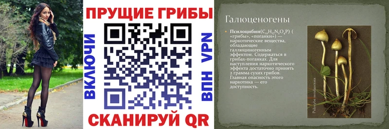 Галлюциногенные грибы GOLDEN TEACHER  Купить закладки  Топки 